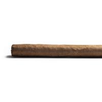 Aladino Corojo Elegante Cigar - 1 Single
